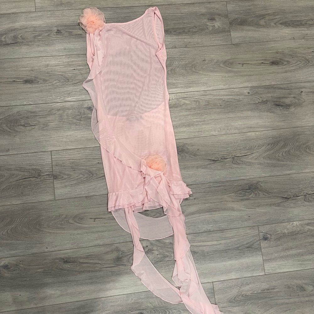 Finesse Studios Pink Sheer Backless Mini Dress